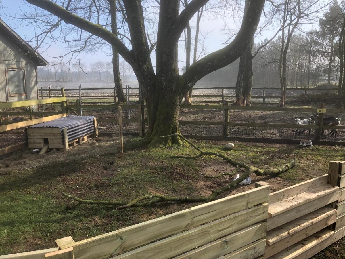 Hestkaer Family Rooms Grindsted Exterior foto